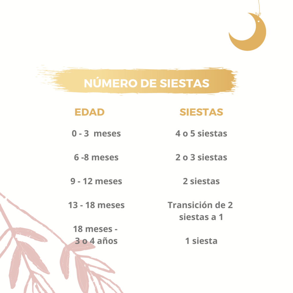 número de siestas para niños