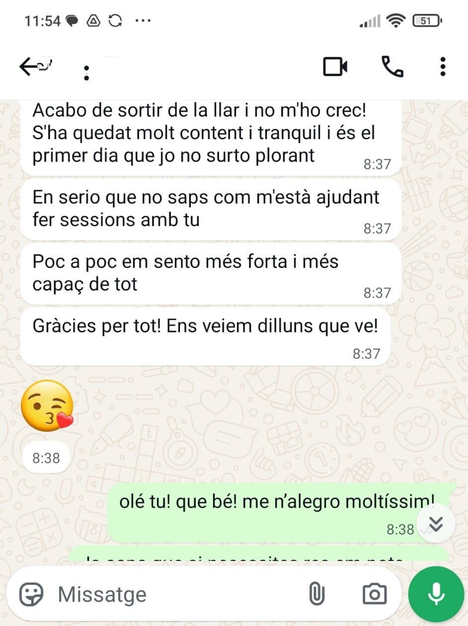 mobil2